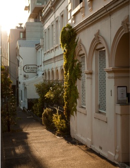 Collingwood Streetscape