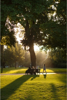 Carlton Gardens